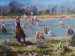 CATTLE DRIVE OIL PAINTING