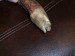 CARVED BOWIE KNIFE BEAR