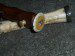 CASTELO ITALY SWORD CANE