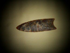 TRANSLUCENT PALEO POINT.