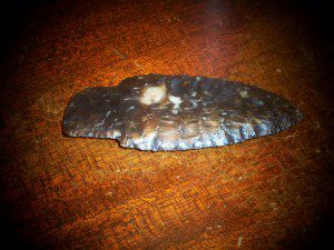 TRANSULENT ARROWHEAD.