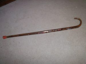 NAZZI SS CANE.