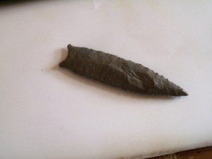 ARROWHEAD