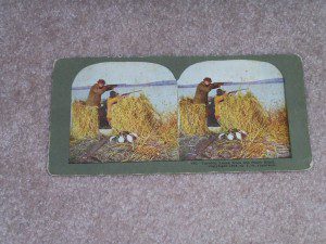 DUCK HUNTING STEROVIEW CARD.