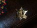 GOLD GREENE CO.MO BADGE.