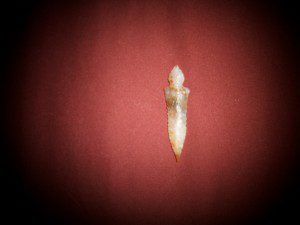 SMALL ARROWHEAD.
